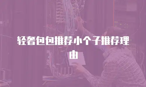 轻奢包包推荐小个子推荐理由