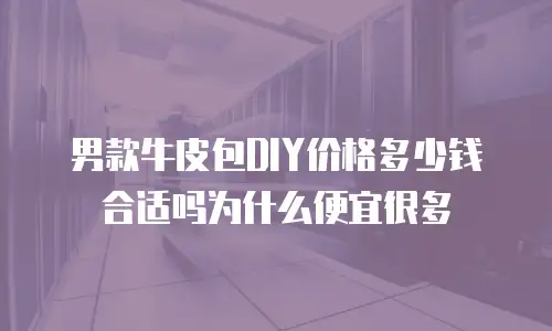 男款牛皮包DIY价格多少钱合适吗为什么便宜很多