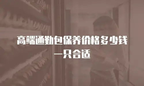 高端通勤包保养价格多少钱一只合适