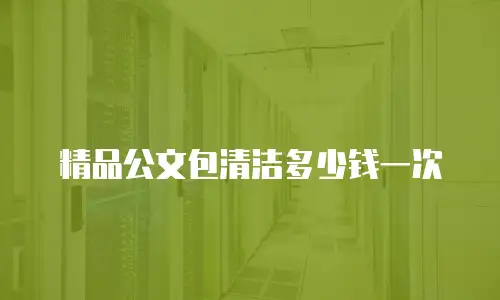 精品公文包清洁多少钱一次