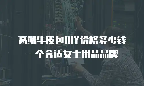 高端牛皮包DIY价格多少钱一个合适女士用品品牌