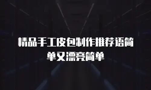 精品手工皮包制作推荐语简单又漂亮简单