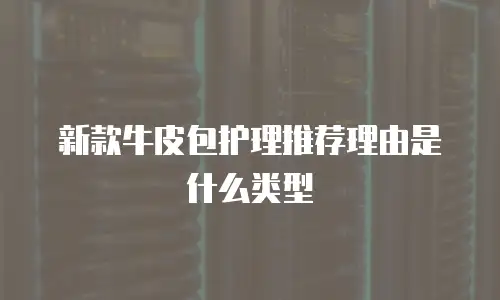 新款牛皮包护理推荐理由是什么类型