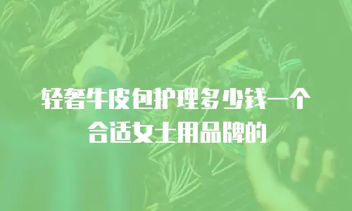 轻奢牛皮包护理多少钱一个合适女士用品牌的