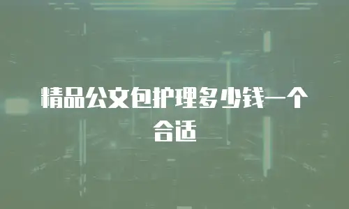 精品公文包护理多少钱一个合适