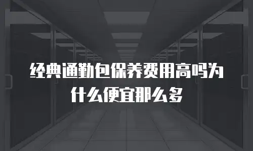 经典通勤包保养费用高吗为什么便宜那么多