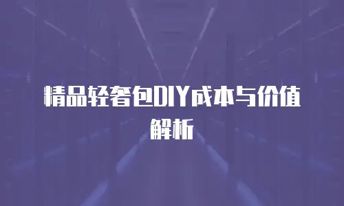 精品轻奢包DIY成本与价值解析