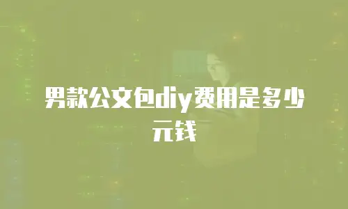 男款公文包diy费用是多少元钱