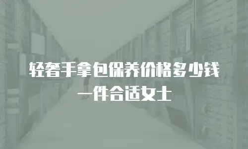 轻奢手拿包保养价格多少钱一件合适女士