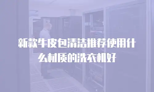 新款牛皮包清洁推荐使用什么材质的洗衣机好