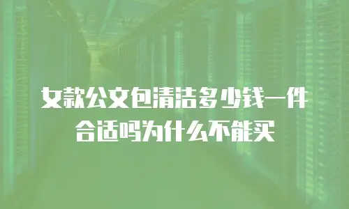女款公文包清洁多少钱一件合适吗为什么不能买