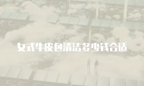 女式牛皮包清洁多少钱合适