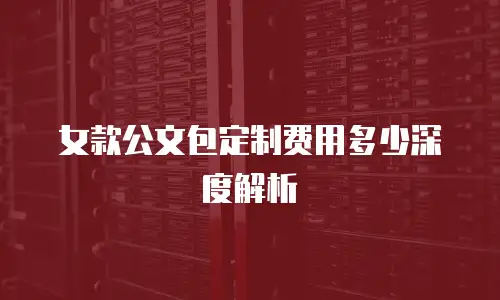 女款公文包定制费用多少深度解析