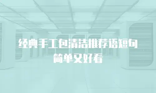 经典手工包清洁推荐语短句简单又好看