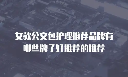 女款公文包护理推荐品牌有哪些牌子好推荐的推荐