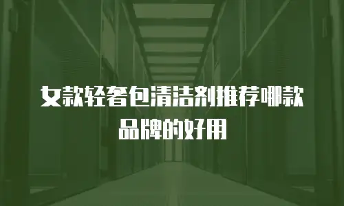 女款轻奢包清洁剂推荐哪款品牌的好用