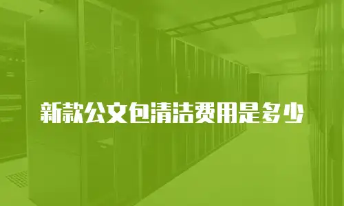 新款公文包清洁费用是多少