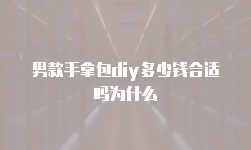 男款手拿包diy多少钱合适吗为什么