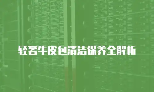 轻奢牛皮包清洁保养全解析