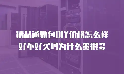 精品通勤包DIY价格怎么样好不好买吗为什么贵很多