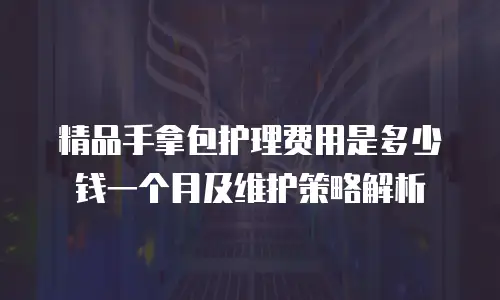 精品手拿包护理费用是多少钱一个月及维护策略解析