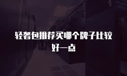 轻奢包推荐买哪个牌子比较好一点