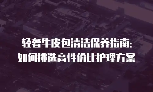 轻奢牛皮包清洁保养指南：如何挑选高性价比护理方案