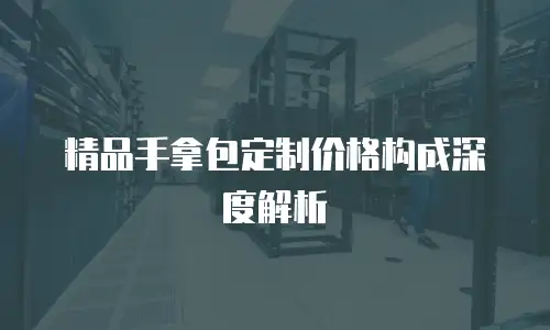 精品手拿包定制价格构成深度解析