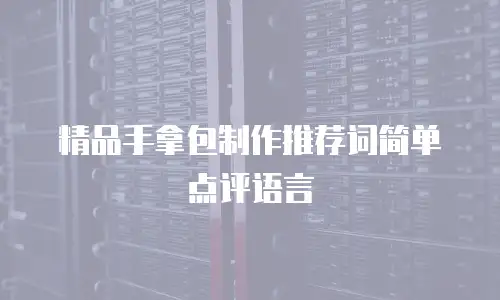 精品手拿包制作推荐词简单点评语言
