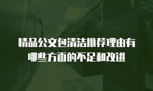 精品公文包清洁推荐理由有哪些方面的不足和改进