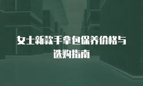 女士新款手拿包保养价格与选购指南