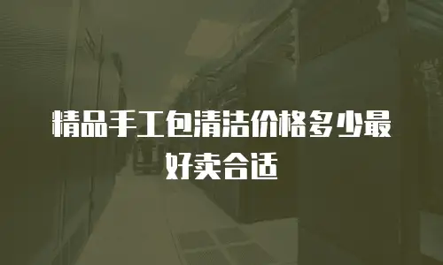 精品手工包清洁价格多少最好卖合适
