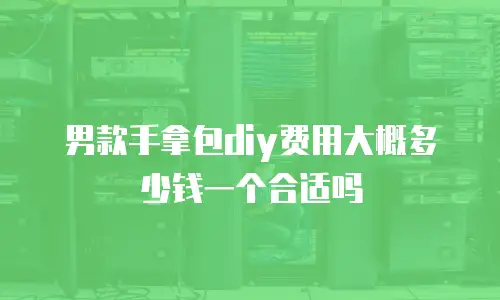 男款手拿包diy费用大概多少钱一个合适吗