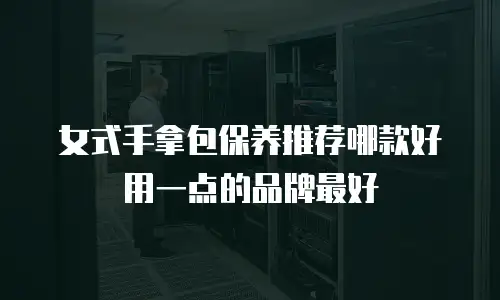 女式手拿包保养推荐哪款好用一点的品牌最好