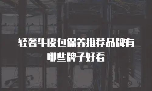 轻奢牛皮包保养推荐品牌有哪些牌子好看