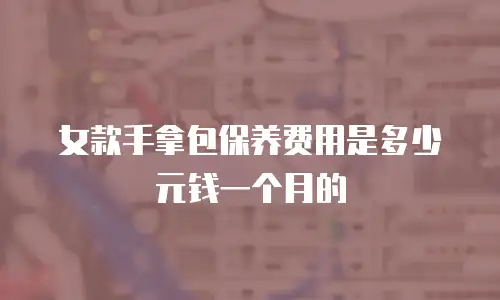 女款手拿包保养费用是多少元钱一个月的