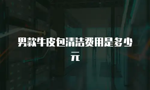 男款牛皮包清洁费用是多少元