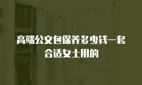 高端公文包保养多少钱一套合适女士用的