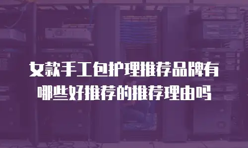 女款手工包护理推荐品牌有哪些好推荐的推荐理由吗