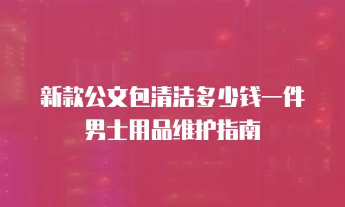 新款公文包清洁多少钱一件男士用品维护指南