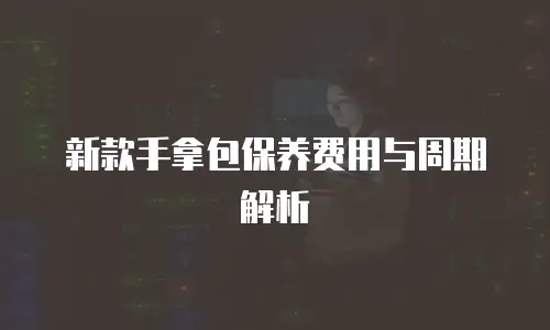 新款手拿包保养费用与周期解析