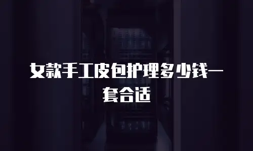女款手工皮包护理多少钱一套合适