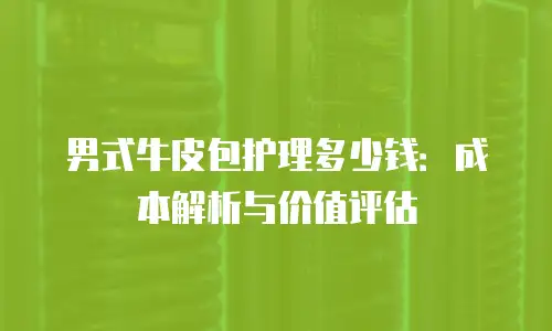 男式牛皮包护理多少钱：成本解析与价值评估