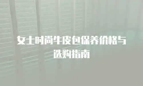 女士时尚牛皮包保养价格与选购指南