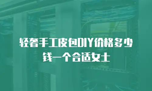 轻奢手工皮包DIY价格多少钱一个合适女士