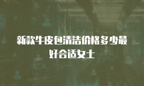 新款牛皮包清洁价格多少最好合适女士