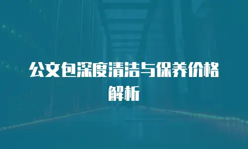 公文包深度清洁与保养价格解析