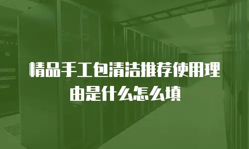 精品手工包清洁推荐使用理由是什么怎么填