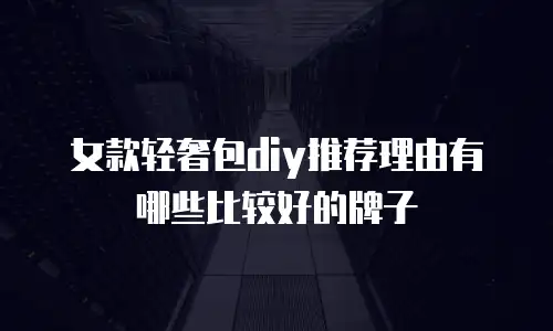 女款轻奢包diy推荐理由有哪些比较好的牌子