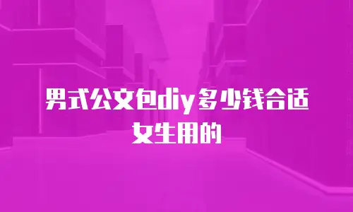 男式公文包diy多少钱合适女生用的